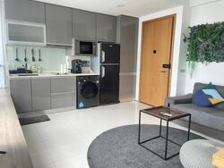 Lumiere (D2), Apartment #612738521
